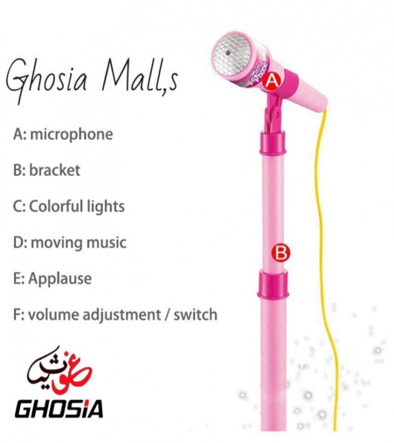 Adjustable Stand with Mobile Phone Connect option Double Microphones Set